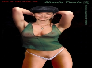 Fake : Shania Twain