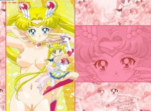 Fake : Sailor Moon