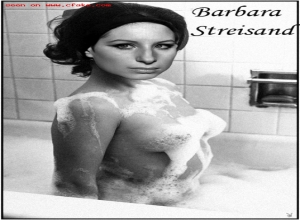 Fake : Barbara Streisand