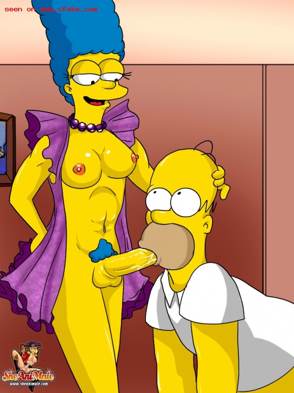 The Simpsons Show Image