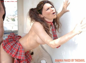 Fake : Shania Twain