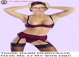 Fake : Sarah Palin