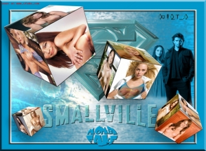 Fake : Smallville
