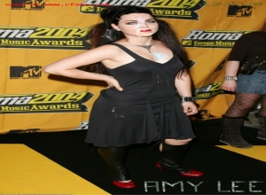 Fake : Amy Lee