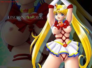 Fake : Sailor Moon