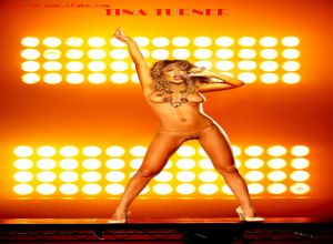 Fake : Tina Turner