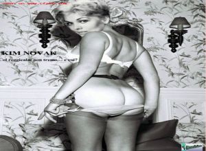 Fake : Kim Novak