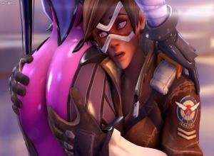 Fake : Overwatch