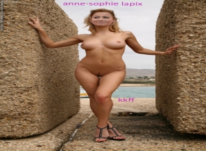 Fake : Anne Sophie Lapix