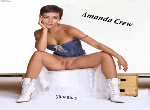 Fake : Amanda Crew